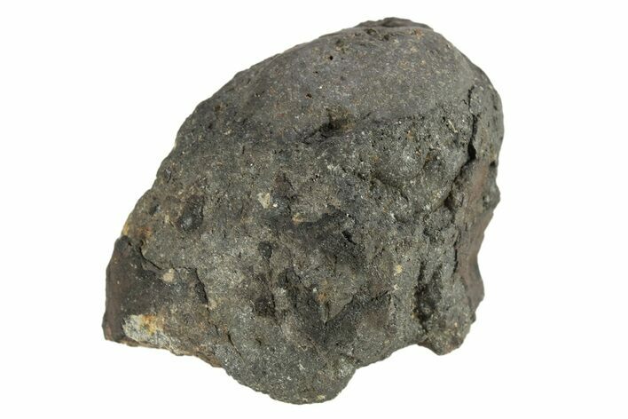 Chelyabinsk Meteorite ( g) - Witnessed Fall #263524